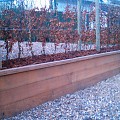 *Azobe beschoeiingsplank 6x100x4000mm   op=op