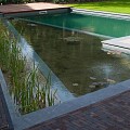 Clayville Serengeti Getrommeld 200x50x60mm Bezand