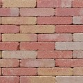 Layton Brick Stone met deklaag Lyon 20x5x7 cm