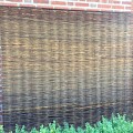 Wilgenscherm Stingray 1cm 180x180cm