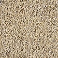 *25 kg Yellow Sun split 6-10 mm