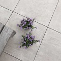 Keramische tegel Velino Taupe 60x60x2cm