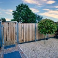 Tuinscherm Douglas fijnbezaagd 23-pl 16mm recht rvs geschroefd 180x180cm Verticaal