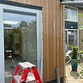 WPC Cladding Stripes Cedar 15x590cm - Single