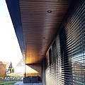 Gevelbekleding thermo Grenen 28x140x2400mm Double Rhombus
