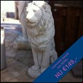 Showmodel betonnen leeuw