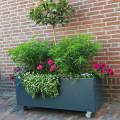Plantenbak gepoedercoat staal Rechthoek RAL7016 met bodem en wielen