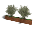 Cortenstaal plantenbak Rechthoek XL 300x30x40cm