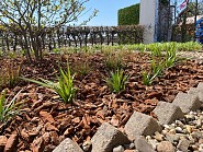 Decor Franse boomschors, bigbag 0,5 m³