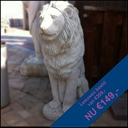 Showmodel betonnen leeuw