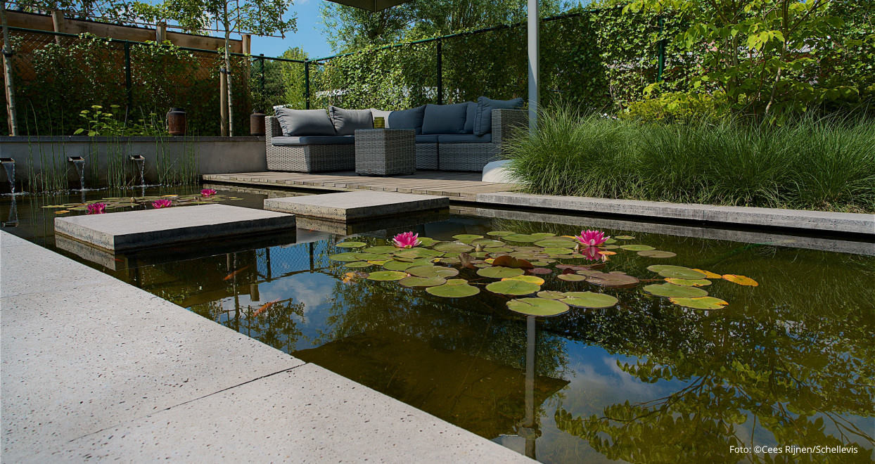 Verhoeven Tuinhout & Steengoed in Helmond: alles voor je tuin
