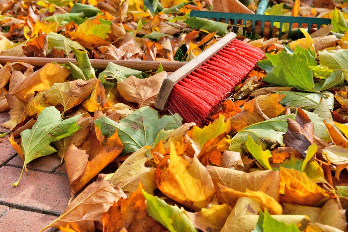 Verhoeven Tuinhout & Steengoed in Helmond: alles voor je tuin