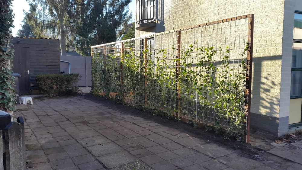 Verhoeven Tuinhout & Steengoed in Helmond: alles voor je tuin