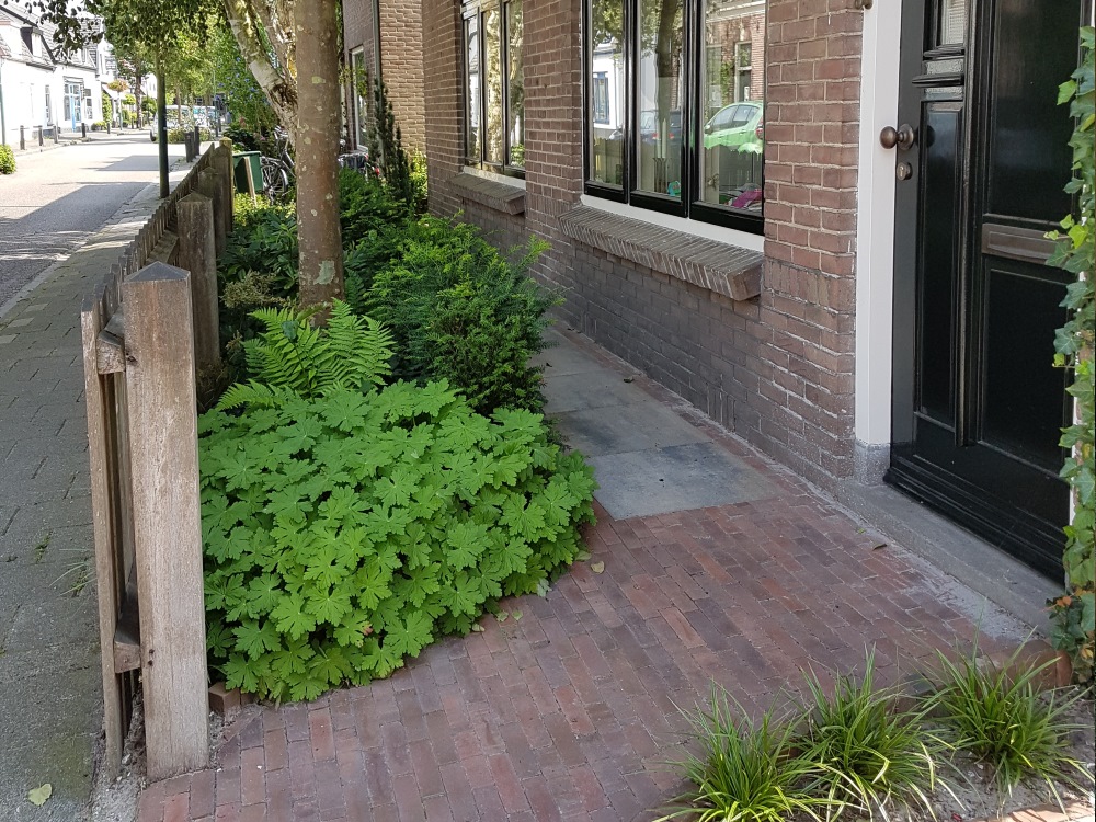 Verhoeven Tuinhout & Steengoed in Helmond: alles voor je tuin