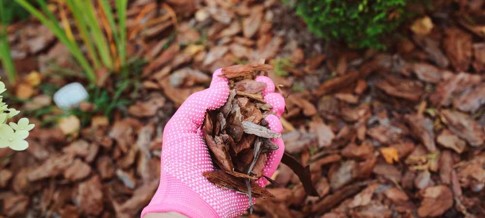 Verhoeven Tuinhout & Steengoed in Helmond: alles voor je tuin
