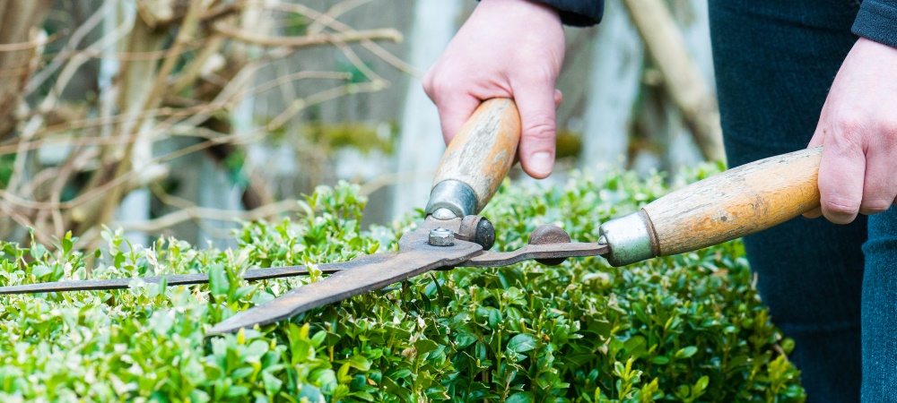 Verhoeven Tuinhout & Steengoed in Helmond: alles voor je tuin