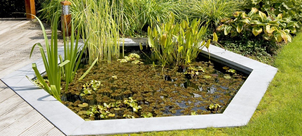 Verhoeven Tuinhout & Steengoed in Helmond: alles voor je tuin