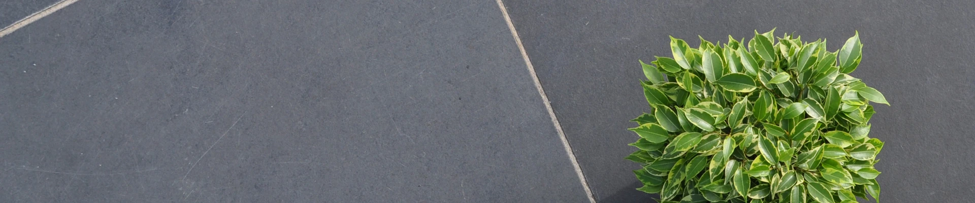 Verhoeven Tuinhout & Steengoed in Helmond: alles voor je tuin