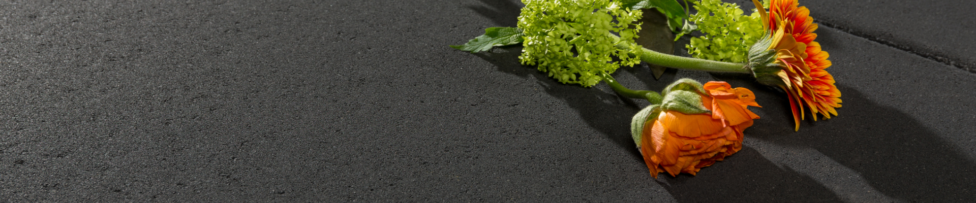 Verhoeven Tuinhout & Steengoed in Helmond: alles voor je tuin