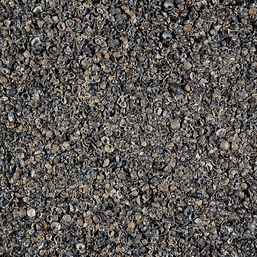 17 LTR Schelpen 8-16mm