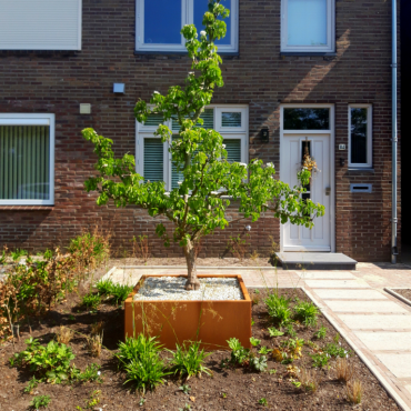 Plantenbak Cortenstaal Vierkant zonder bodemplaat