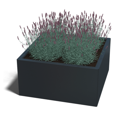 Plantenbak gepoedercoat staal vierkant RAL9005 met bodemplaat en wielen