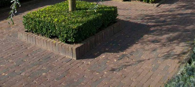 Gebakken Waalformaat Rotterdam