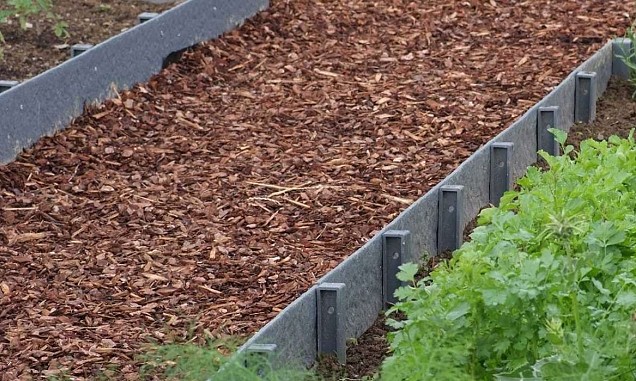 Ecoboard Pic 60x4x4cm