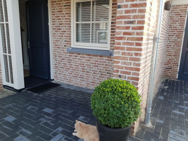 *Betonklinker 21x10.5x8cm KOMO antraciet met deklaag (leverbaar ca medio mei)