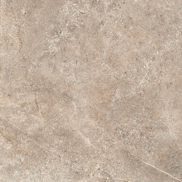 GeoCeramica© 100x100x4cm Landstone Taupe
