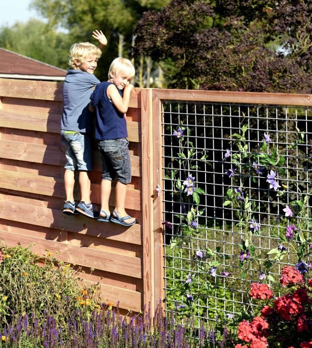 Zwart gaaspaneel trellis maas 7.5x7.5cm met douglas kader 59x180cm