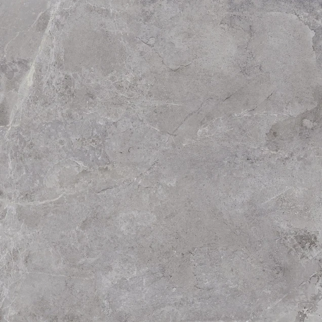 Keramische tegel Evolution Grey 60x60x2cm