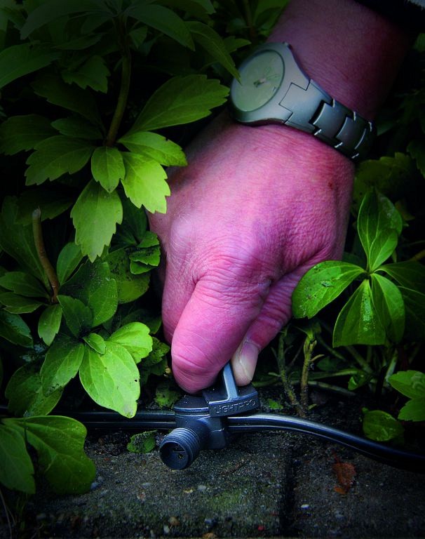 Connector Type F (Female)