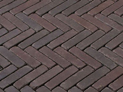 Gebakken Hudson Antica waalformaat getrommeld 6cm
