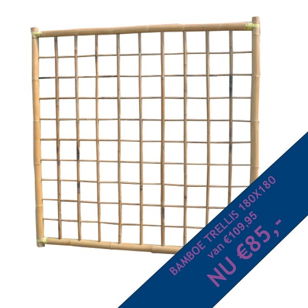 Bamboe Trellis Scherm 180x180cm