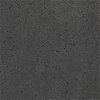 Oud Hollandsche tegel 20x20x5cm Carbon