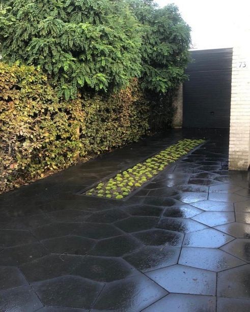 GeoStretto Alivo Milano